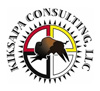 Kiksapa consulting, LLC